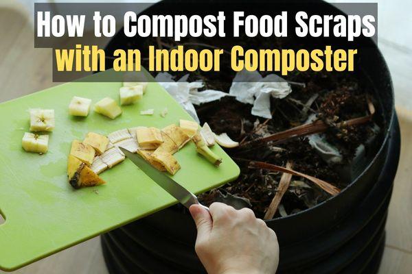 This easy indoor compost system turns food scraps into fertilizer in 24  hours